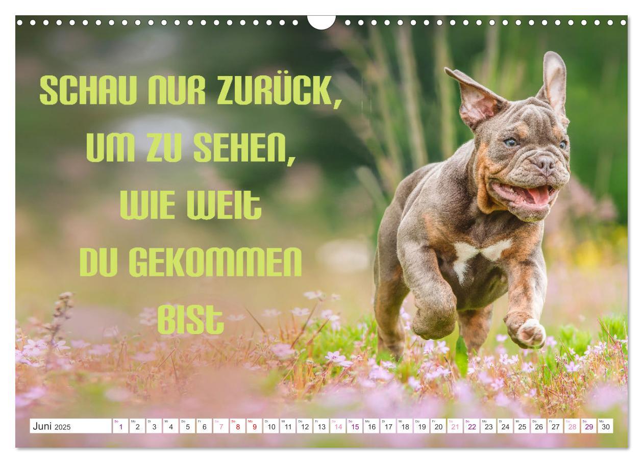 Bild: 9783435052257 | Heute schon Prinzen geküsst? Spruchkalender (Wandkalender 2025 DIN...