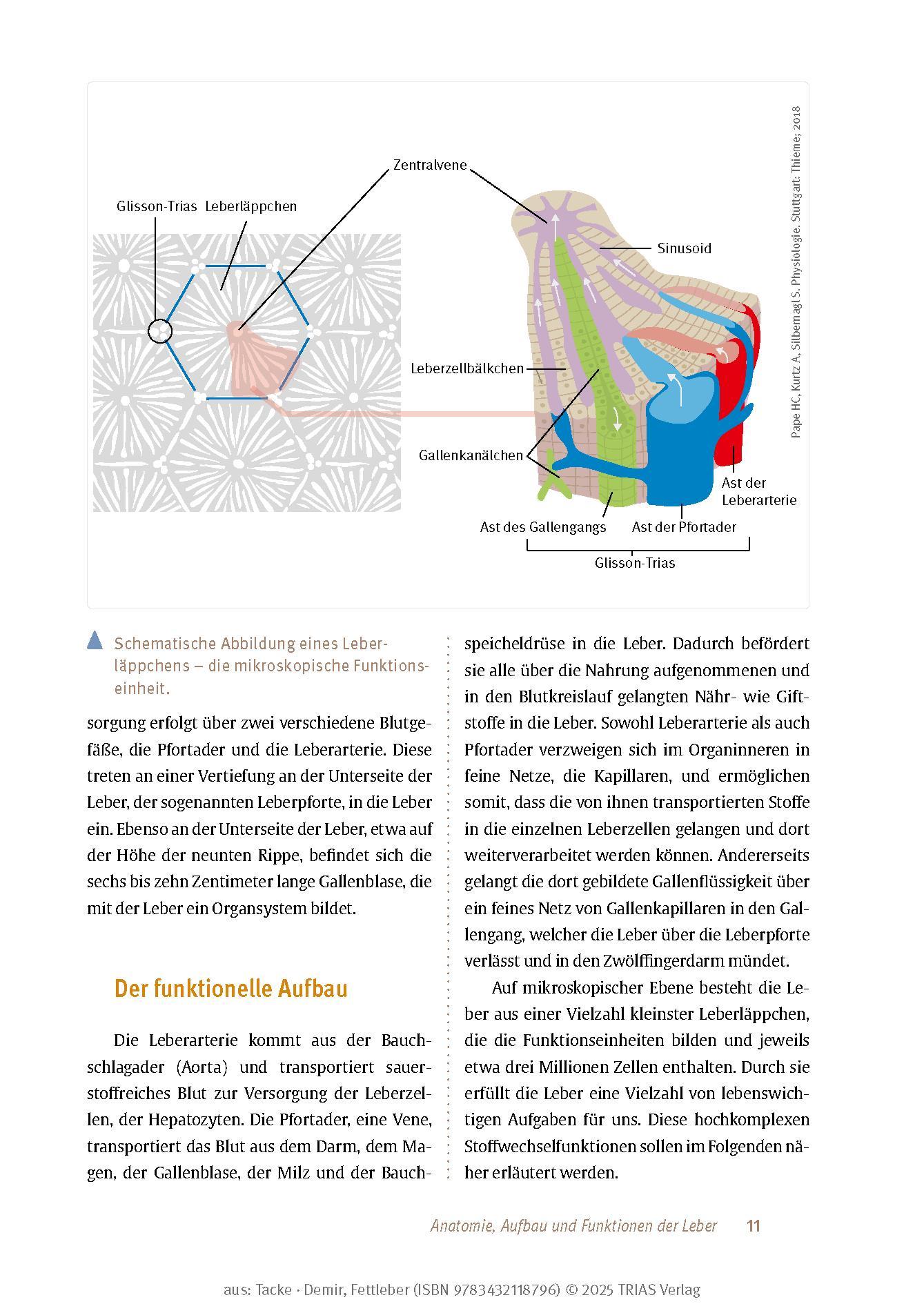 Bild: 9783432118796 | Expertenwissen: Fettleber | Frank Tacke (u. a.) | Taschenbuch | 128 S.