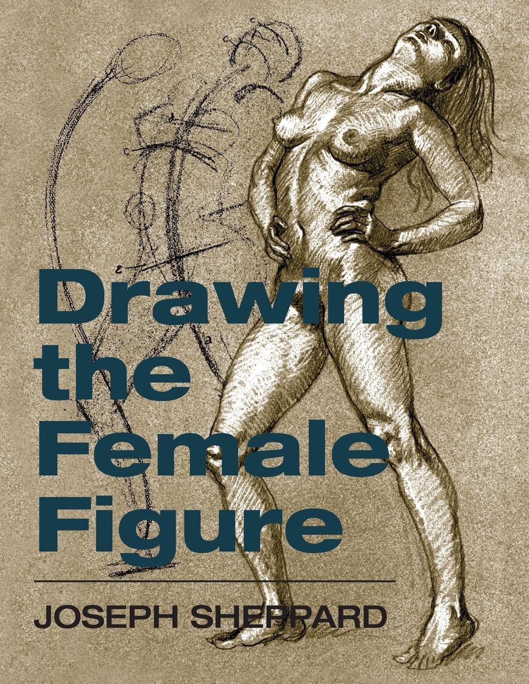 Cover: 9781626549036 | Drawing the Female Figure | Joseph Sheppard | Taschenbuch | Paperback
