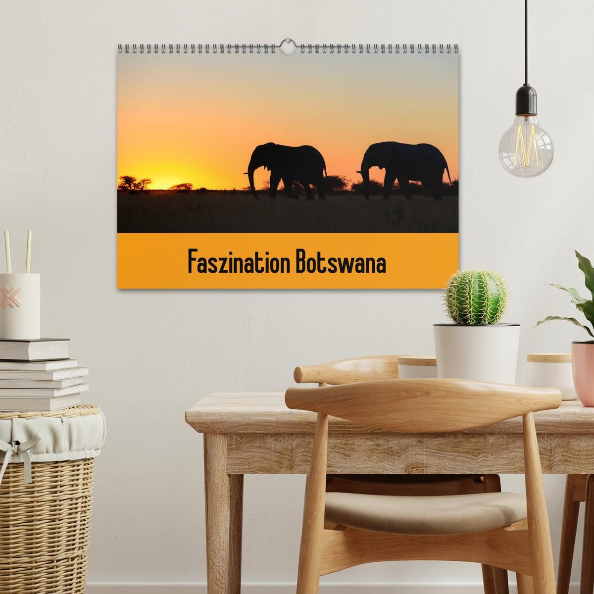 Bild: 9783435452125 | Faszination Botswana (Wandkalender 2025 DIN A3 quer), CALVENDO...