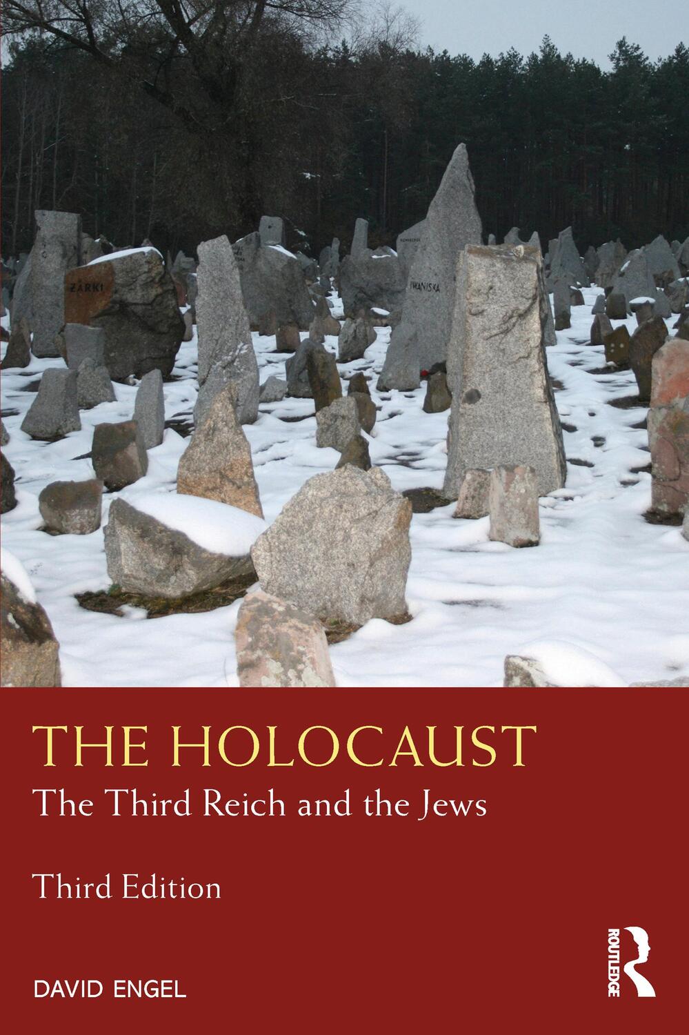 Cover: 9781138352759 | The Holocaust | The Third Reich and the Jews | David Engel | Buch