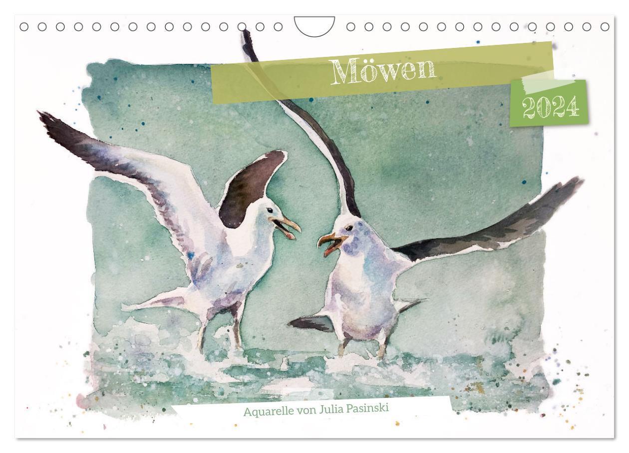 Cover: 9783675481633 | Möwen - Aquarelle von Julia Pasinski (Wandkalender 2024 DIN A4...