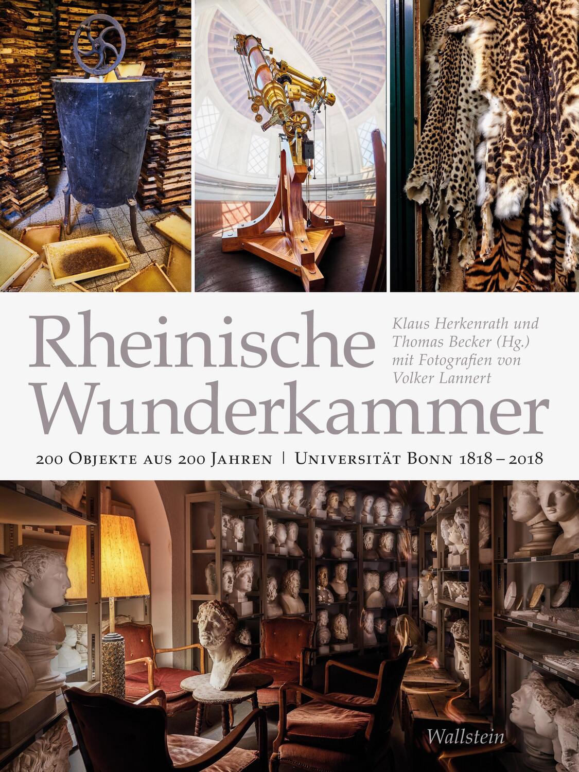 Cover: 9783835331396 | Rheinische Wunderkammer | Thomas Becker (u. a.) | Taschenbuch | 438 S.