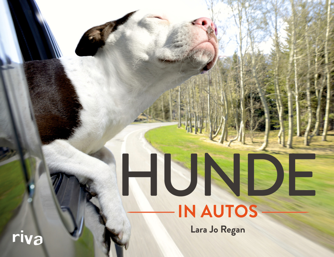 Cover: 9783868835564 | Hunde in Autos | Lara J. Regan | Buch | 144 S. | Deutsch | 2014