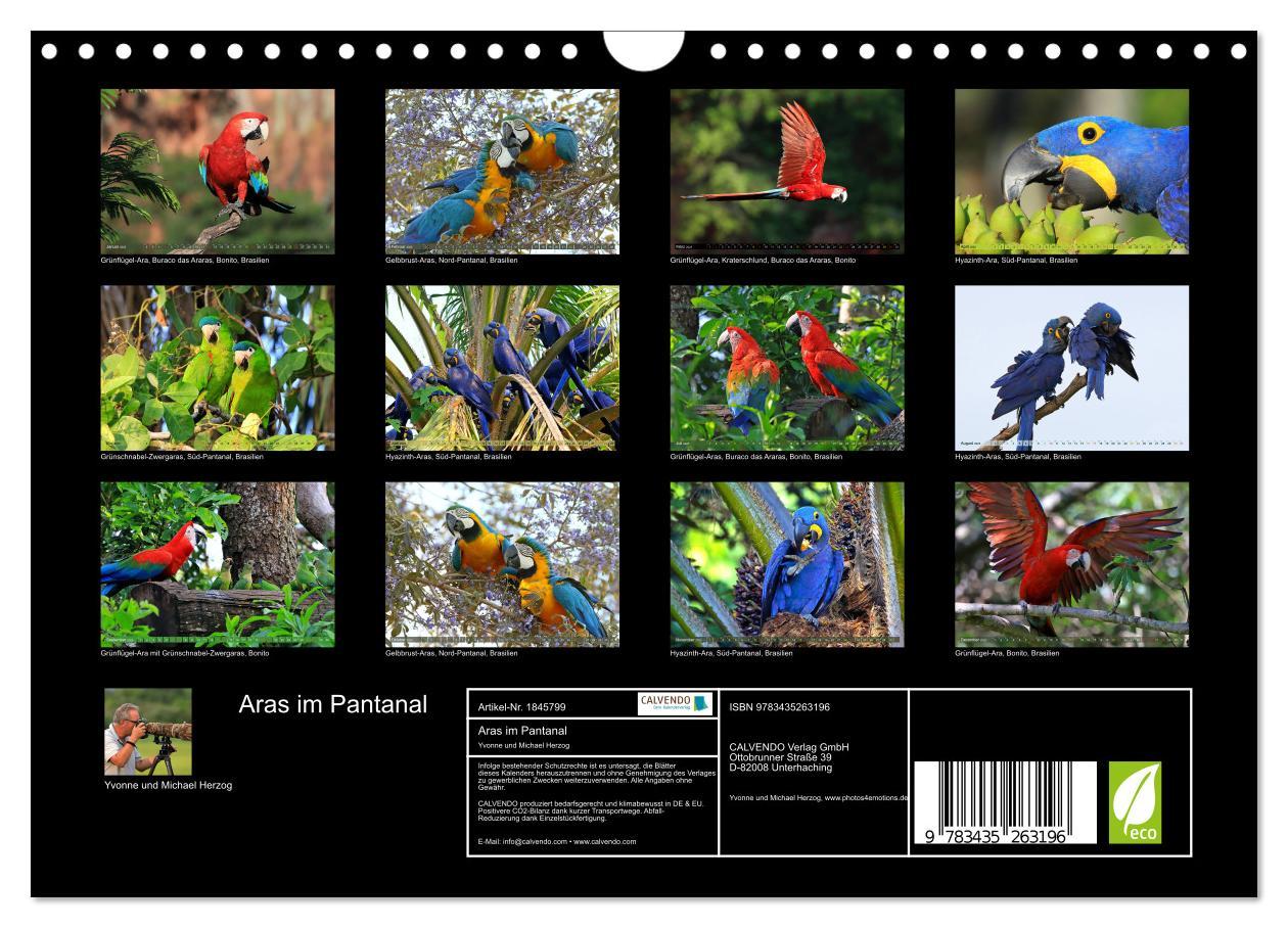 Bild: 9783435263196 | Aras im Pantanal (Wandkalender 2025 DIN A4 quer), CALVENDO...