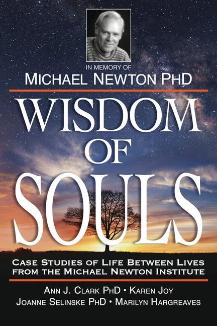 Cover: 9780738758343 | Wisdom of Souls | The Newton Institute | Taschenbuch | Englisch | 2019