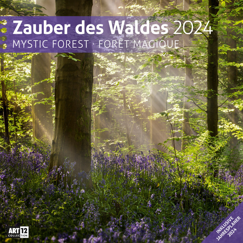 Cover: 9783838444116 | Zauber des Waldes Kalender 2024 - 30x30 | Ackermann Kunstverlag | 2024