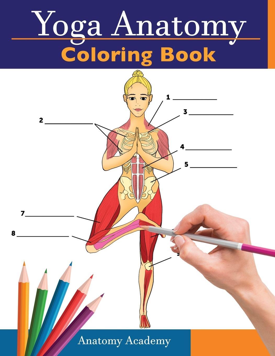 Cover: 9781914207037 | Yoga Anatomy Coloring Book | Anatomy Academy | Taschenbuch | Paperback
