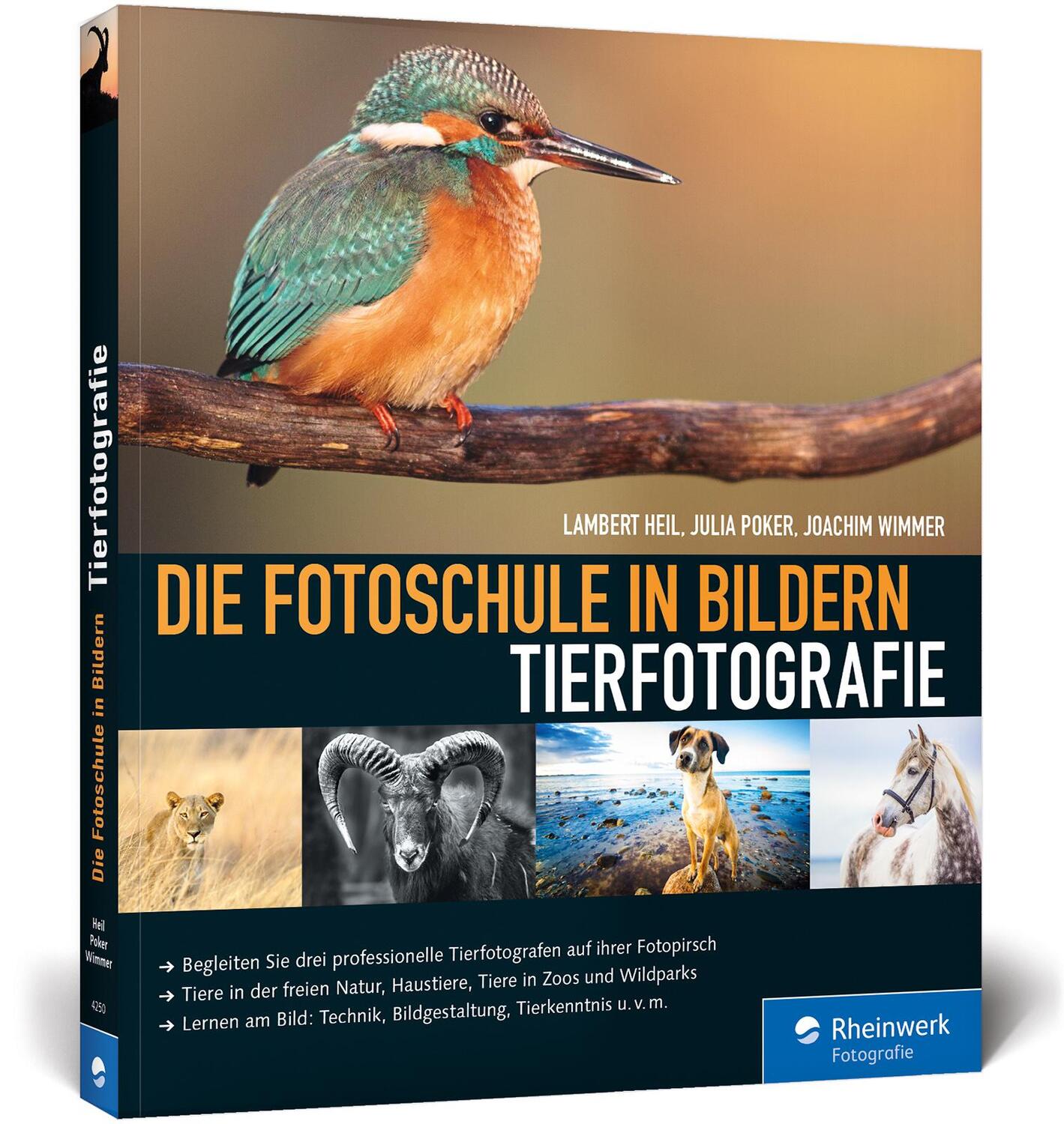 Cover: 9783836242509 | Die Fotoschule in Bildern. Tierfotografie | Lambert Heil (u. a.)