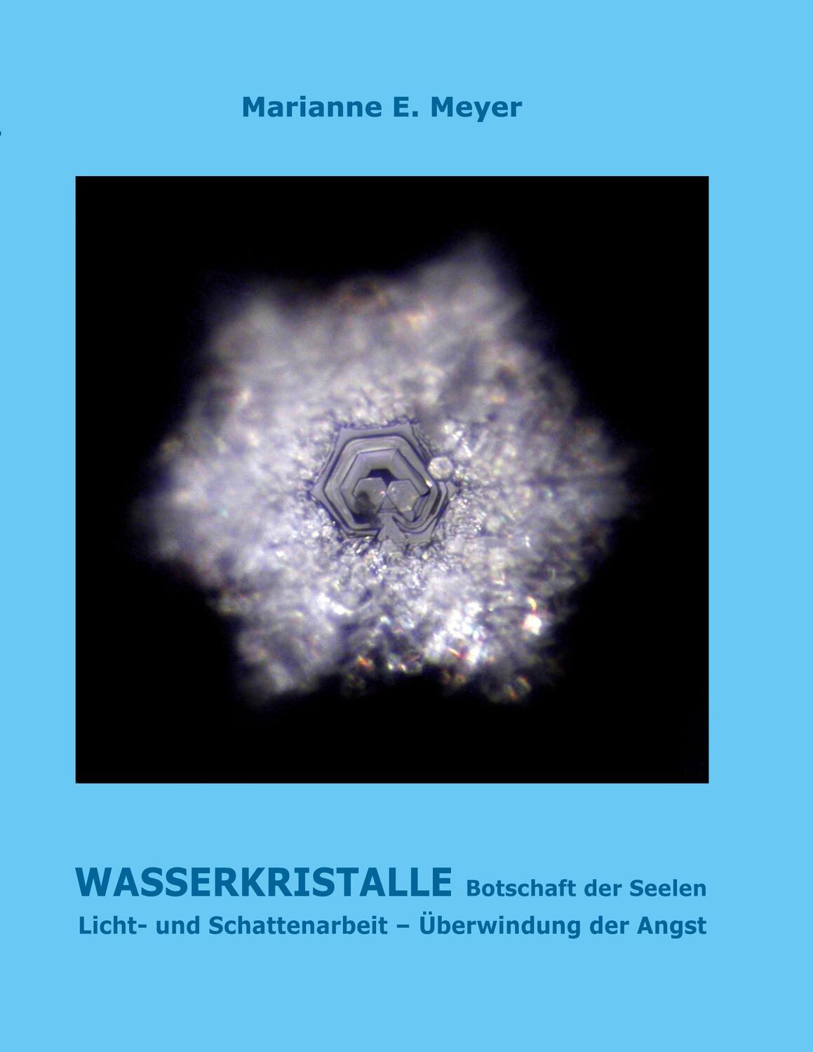 Cover: 9783752667578 | Wasserkristalle Botschaft der Seelen | Marianne Meyer | Taschenbuch