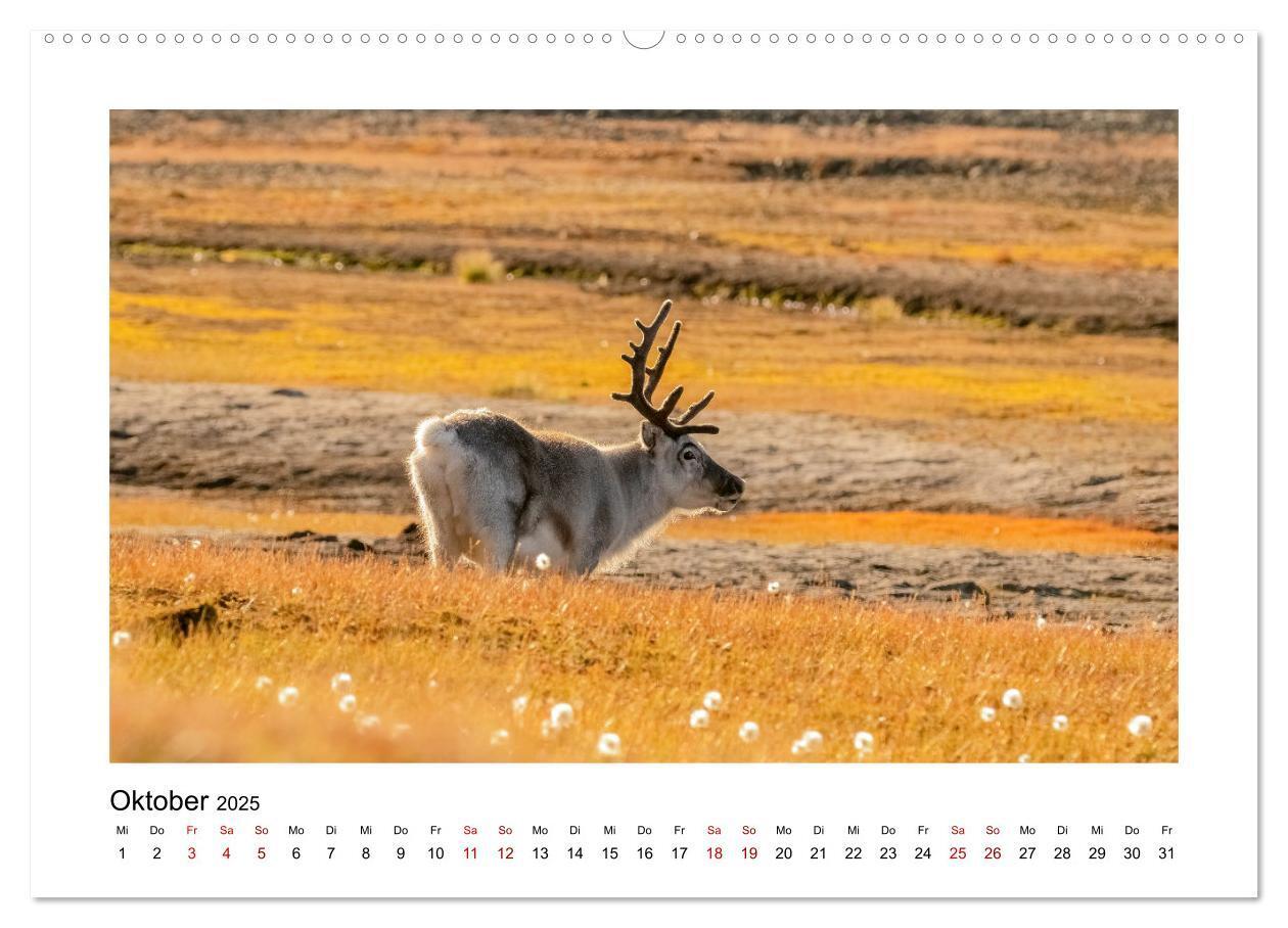 Bild: 9783383885167 | Spitzbergen und der Polarkreis (hochwertiger Premium Wandkalender...