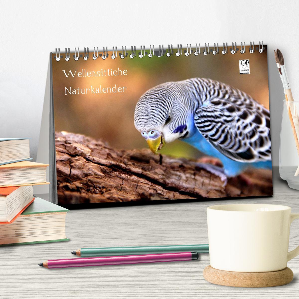 Bild: 9783435812158 | Wellensittiche - Naturkalender (Tischkalender 2025 DIN A5 quer),...