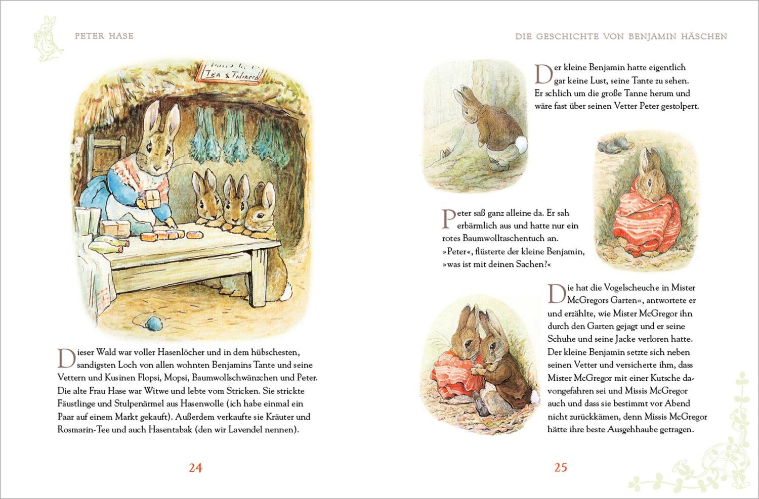 Bild: 9783730601068 | Peter Hase - Sämtliche Abenteuer | Beatrix Potter | Buch | 80 S.