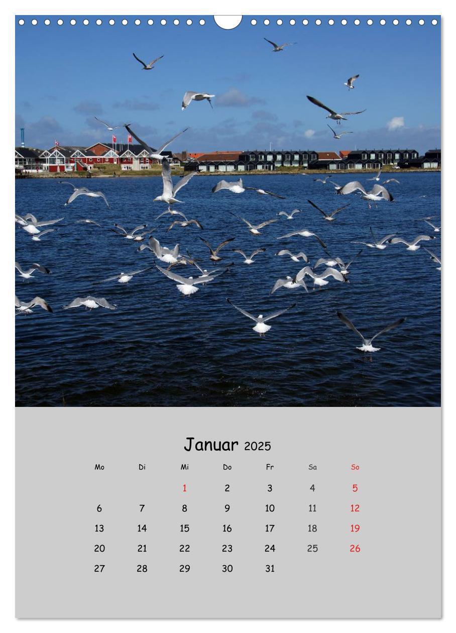 Bild: 9783457007341 | Dänemarks Westküste 2025 (Wandkalender 2025 DIN A3 hoch), CALVENDO...