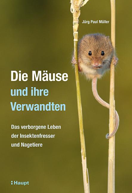 Cover: 9783258082240 | Die Mäuse und ihre Verwandten | Jürg Paul Müller | Buch | Deutsch