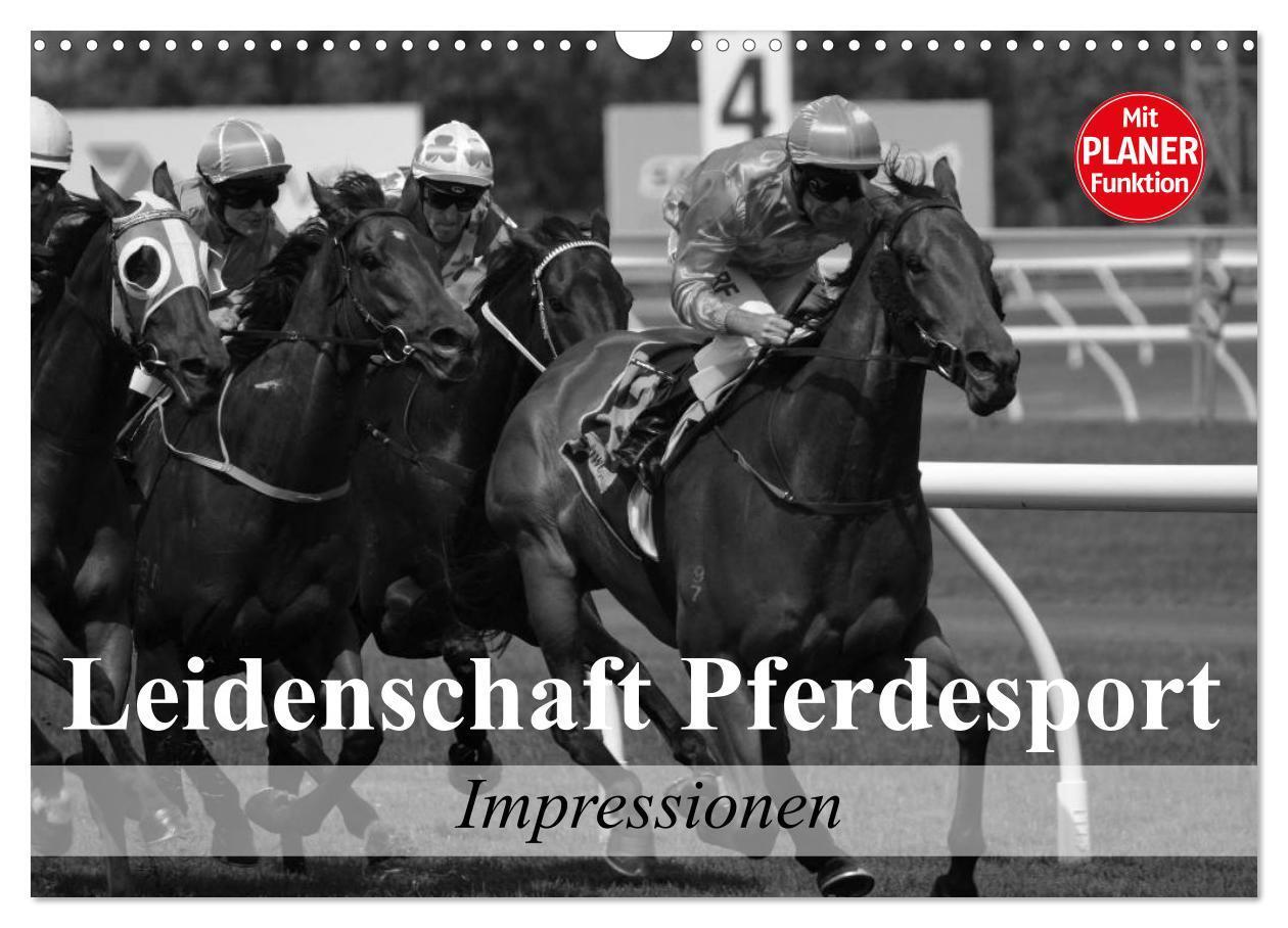 Cover: 9783383307409 | Leidenschaft Pferdesport - Impressionen (Wandkalender 2024 DIN A3...