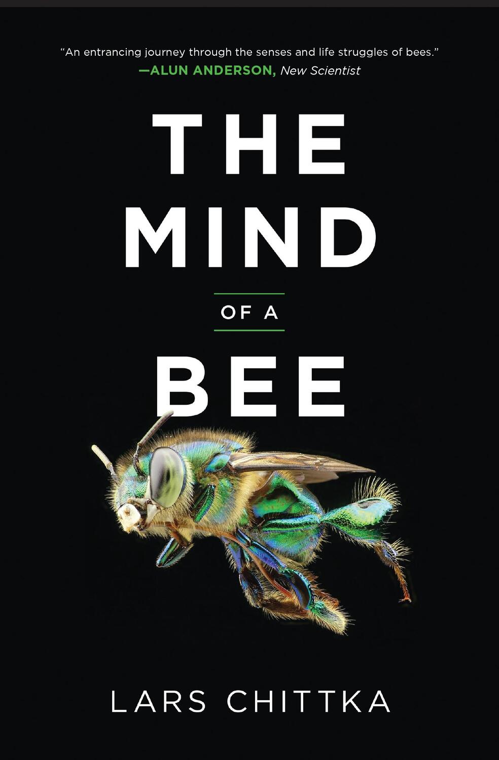Cover: 9780691253893 | The Mind of a Bee | Lars Chittka | Taschenbuch | Englisch | 2023