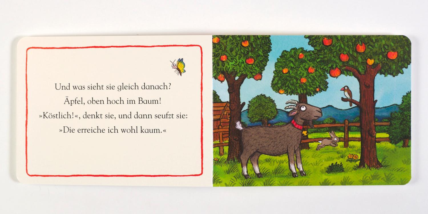 Bild: 9783407758453 | Zick die Ziege | Vierfarbiges Pappbilderbuch | Axel Scheffler | Buch