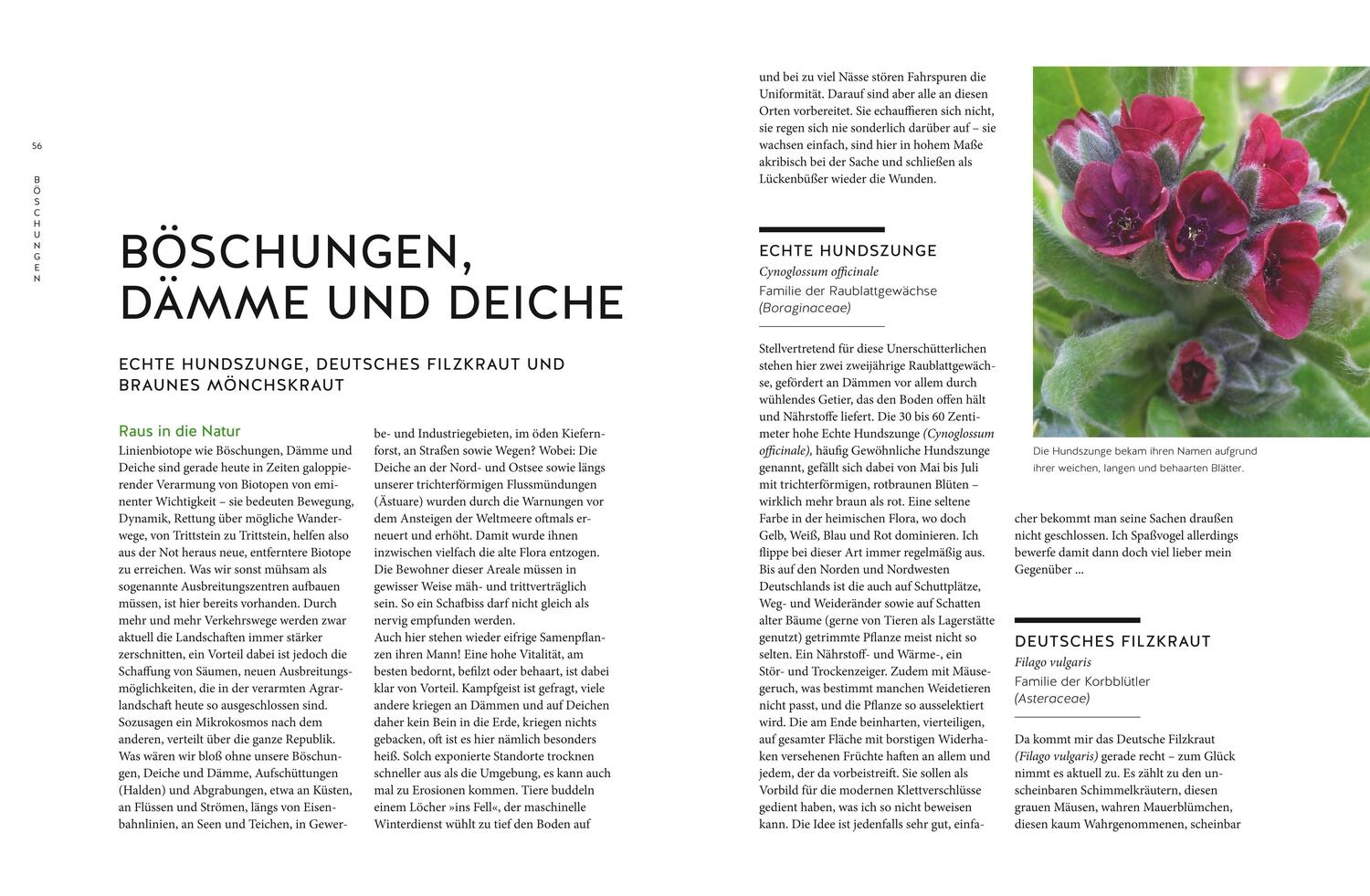 Bild: 9783833873515 | Der Pflanzenretter | Jürgen Feder | Buch | GU Garten extra | 224 S.