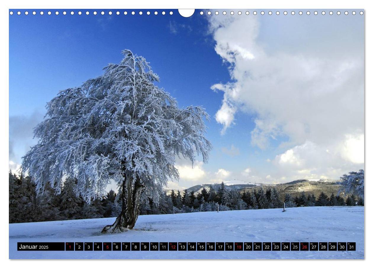 Bild: 9783435675760 | Romantischer Schwarzwald (Wandkalender 2025 DIN A3 quer), CALVENDO...