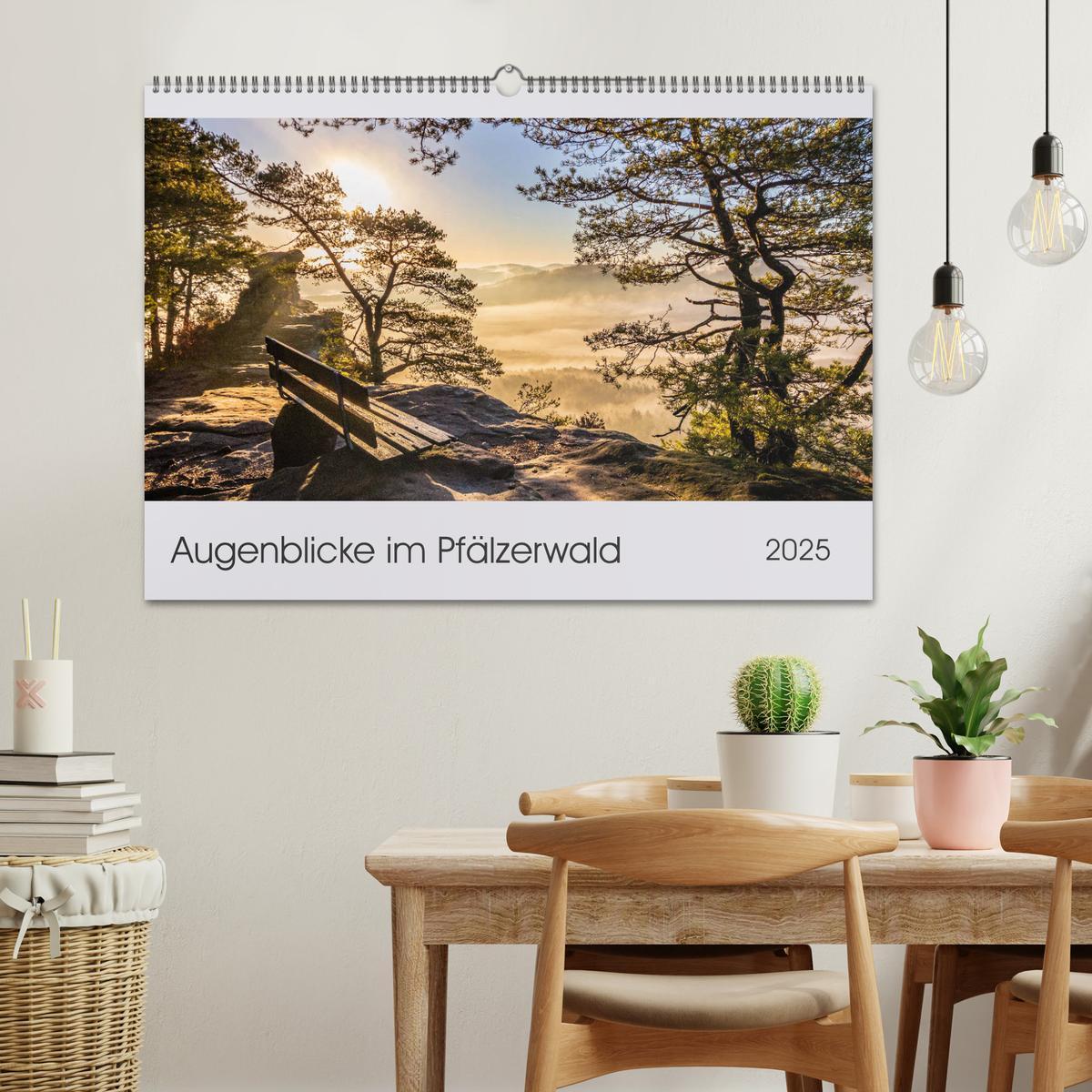 Bild: 9783435215621 | Augenblicke im Pfälzerwald (Wandkalender 2025 DIN A2 quer),...