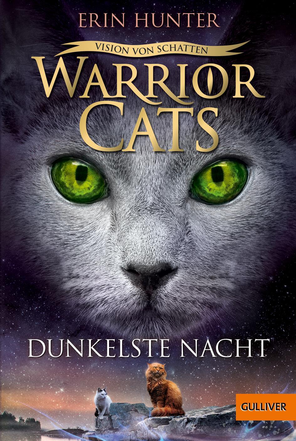 Cover: 9783407812599 | Warrior Cats 6/04 Vision von Schatten. Dunkelste Nacht | Erin Hunter