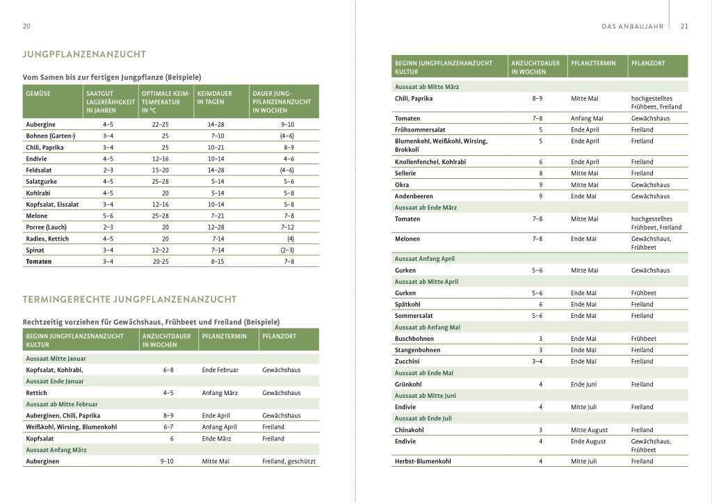 Bild: 9783818614157 | Gewächshaus und Frühbeet Monat für Monat | Eva Schumann | Taschenbuch