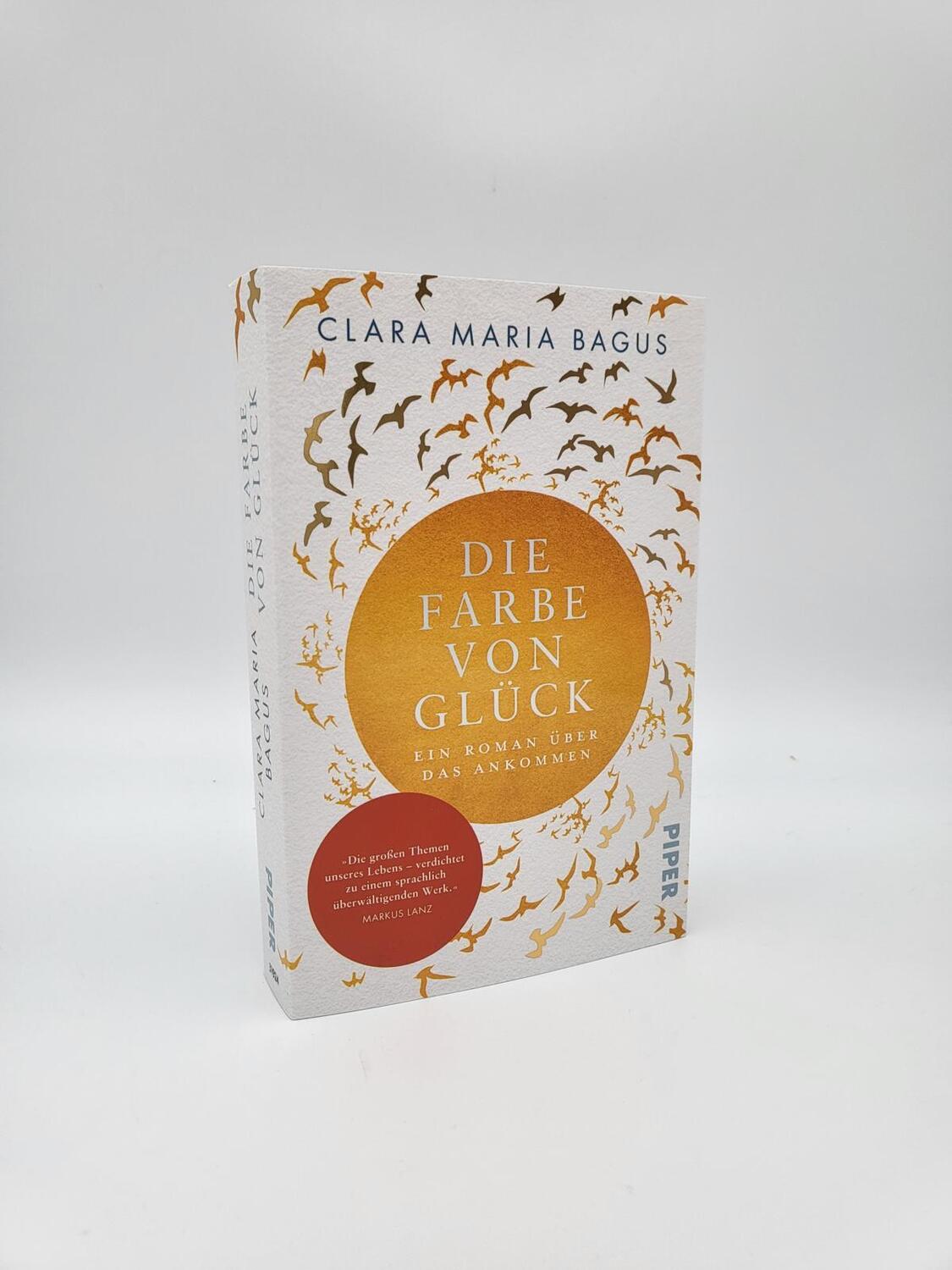 Bild: 9783492319249 | Die Farbe von Glück | Clara Maria Bagus | Taschenbuch | 352 S. | 2022