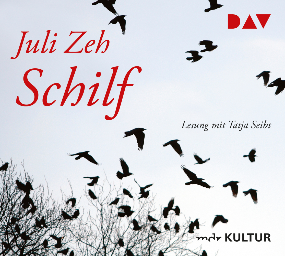 Cover: 9783898136877 | Schilf, 6 Audio-CDs | Lesung mit Tatja Seibt (6 CDs) | Juli Zeh | CD