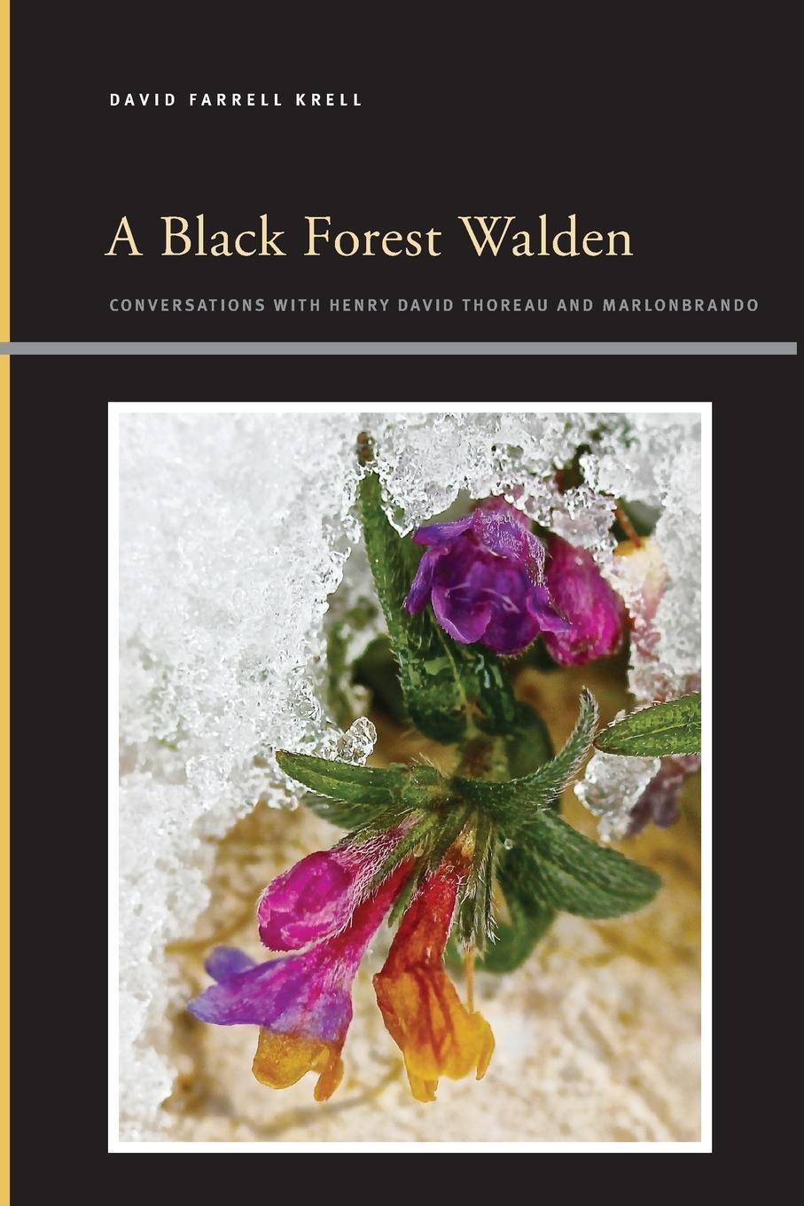 Cover: 9781438488486 | A Black Forest Walden | David Farrell Krell | Taschenbuch | Paperback