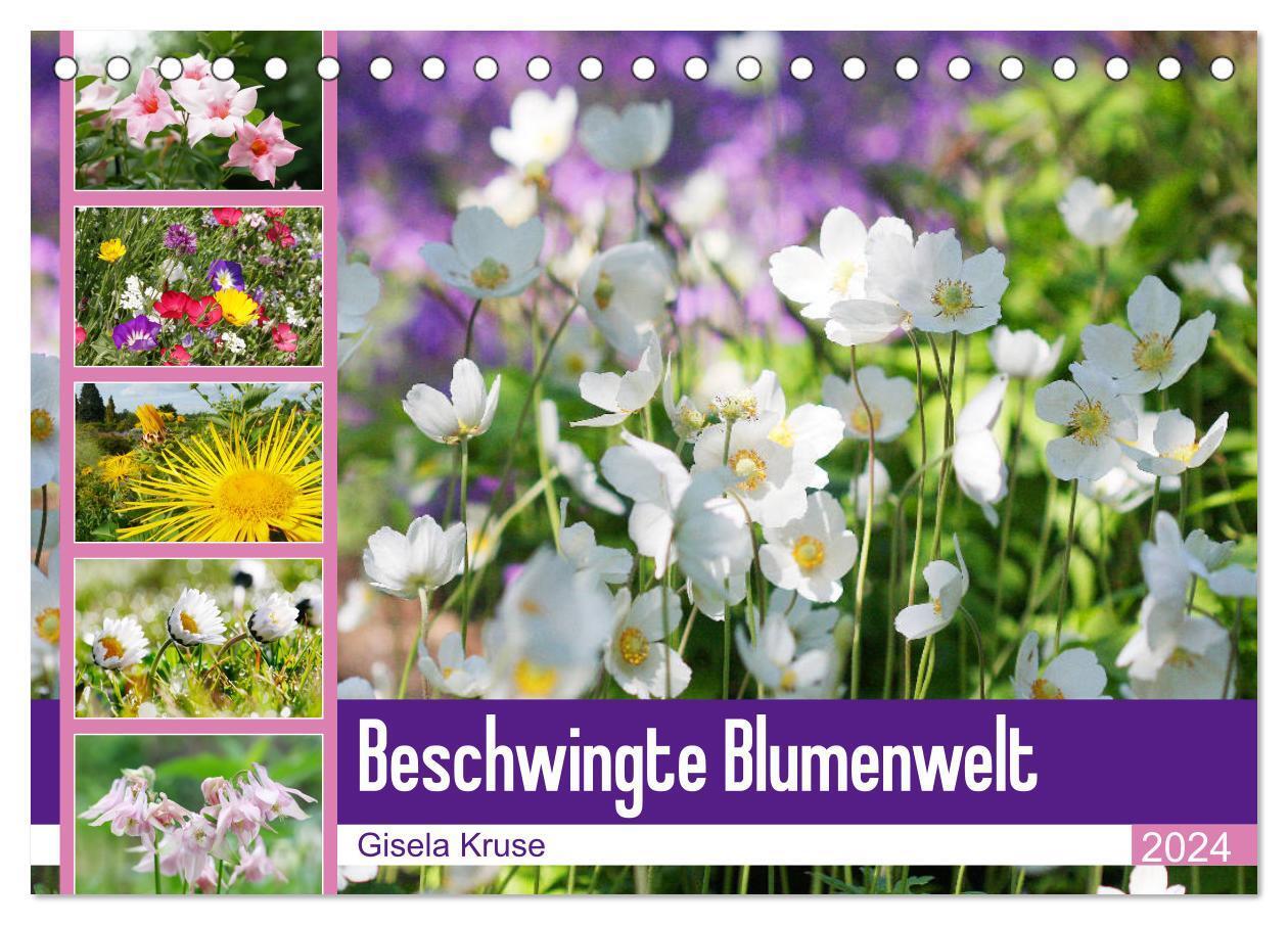 Cover: 9783675534063 | Beschwingte Blumenwelt (Tischkalender 2024 DIN A5 quer), CALVENDO...