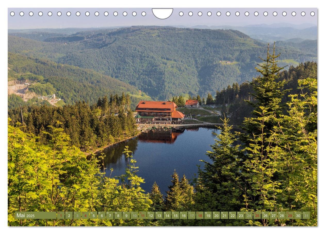 Bild: 9783435377213 | Die Jahreszeiten im Nordschwarzwald (Wandkalender 2025 DIN A4...