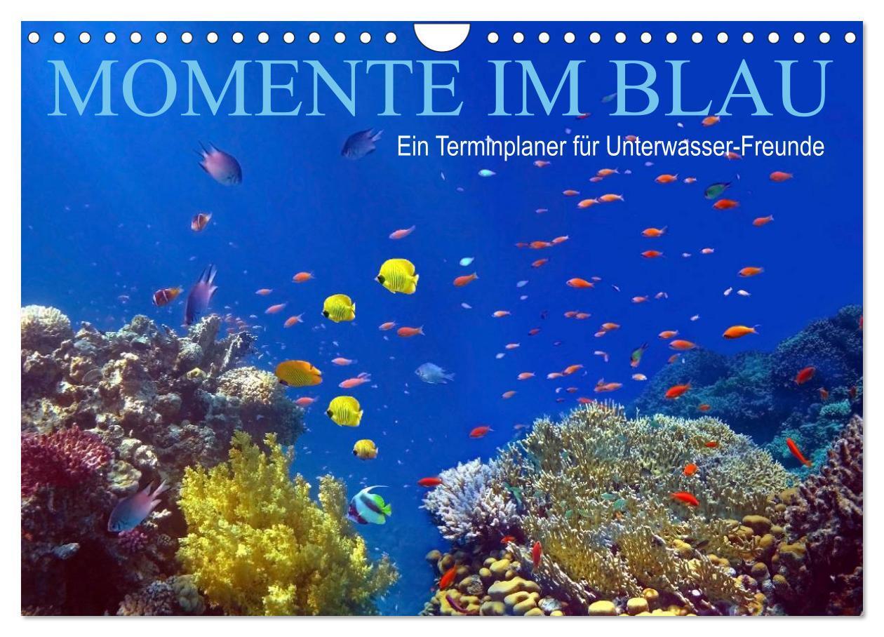 Cover: 9783675473805 | Momente im Blau - Ein Terminplaner für Unterwasser-Freunde...