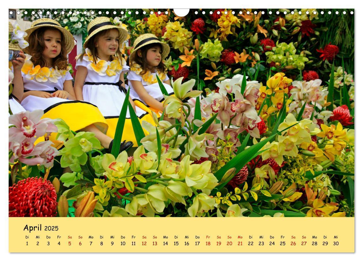 Bild: 9783435457366 | Blumenfest auf Madeira (Wandkalender 2025 DIN A3 quer), CALVENDO...