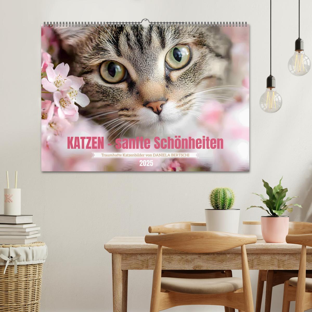 Bild: 9783457203866 | Katzen - sanfte Schönheiten (Wandkalender 2025 DIN A2 quer),...