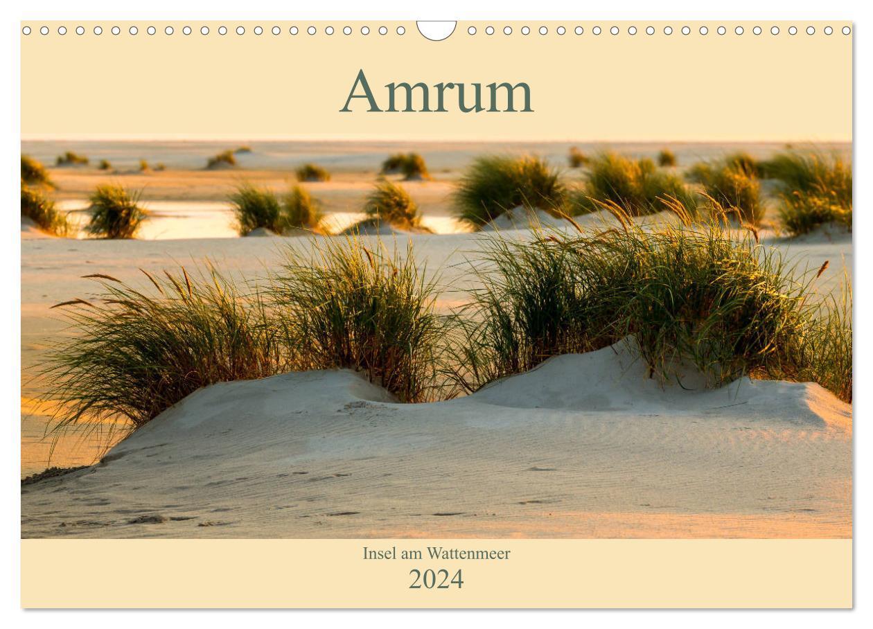 Cover: 9783383045004 | Amrum Insel am Wattenmeer (Wandkalender 2024 DIN A3 quer), CALVENDO...