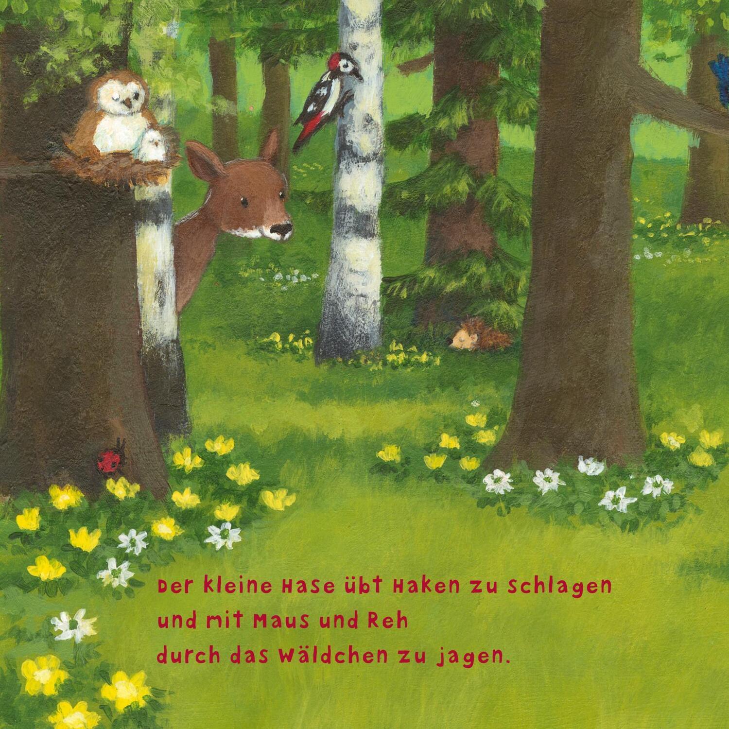 Bild: 9783551051998 | Baby Pixi (unkaputtbar) 97: Der kleine Hase | Susanne Lütje | Buch