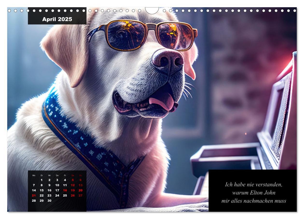 Bild: 9783435368143 | Der witzige Labrador-Kalender (Wandkalender 2025 DIN A3 quer),...