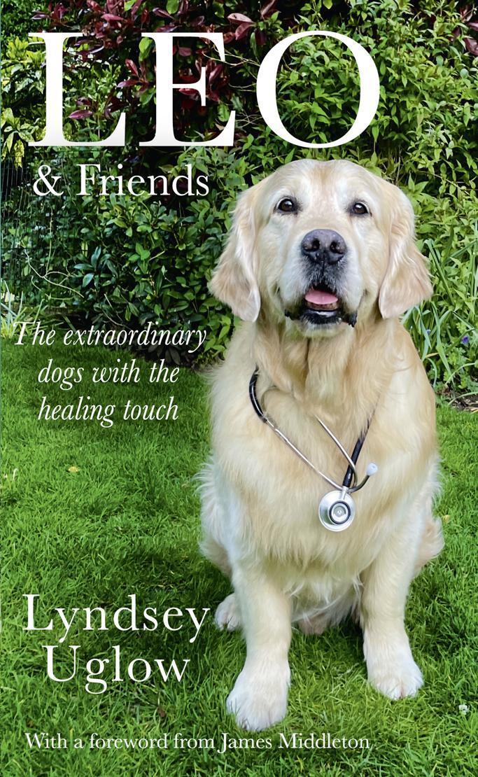 Cover: 9780008466541 | Leo &amp; Friends | The Dogs with a Healing Touch | Lyndsey Uglow | Buch