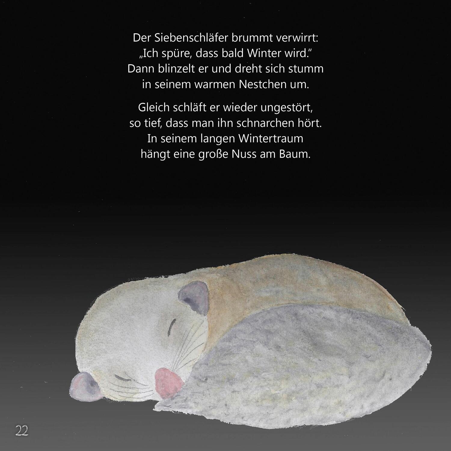 Bild: 9783903496026 | Buschel und die Silbernuss | Martin Springer | Buch | Deutsch | 2023