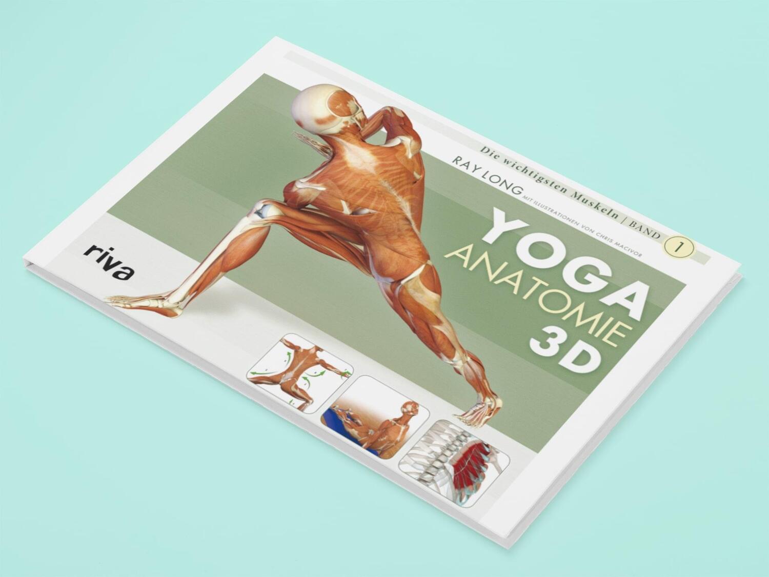 Bild: 9783868830927 | Yoga-Anatomie 3D | Band 1: Die wichtigsten Muskeln | Ray Long | Buch