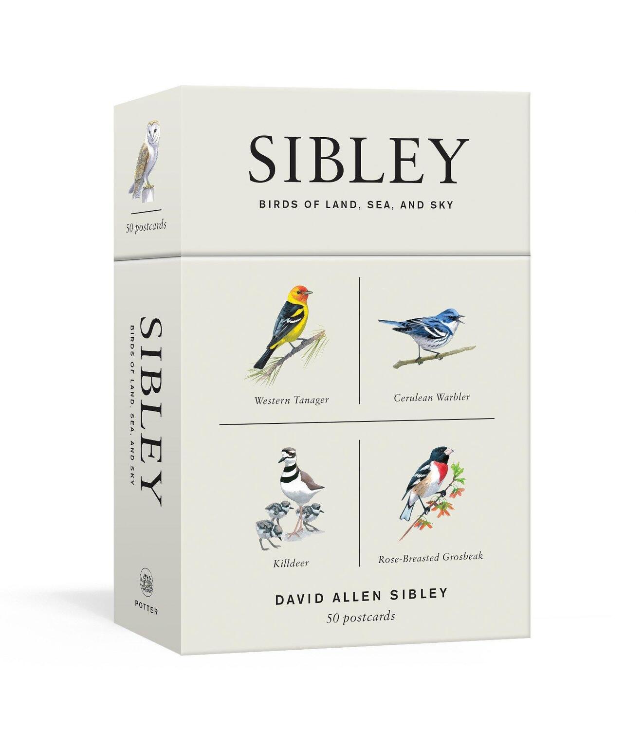 Cover: 9781524761820 | Sibley Birds of Land, Sea, and Sky | 50 Postcards | David Allen Sibley