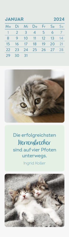 Bild: 4036442010433 | Lesezeichenkalender 2024: Katzenfreunde | Groh Verlag | Kalender