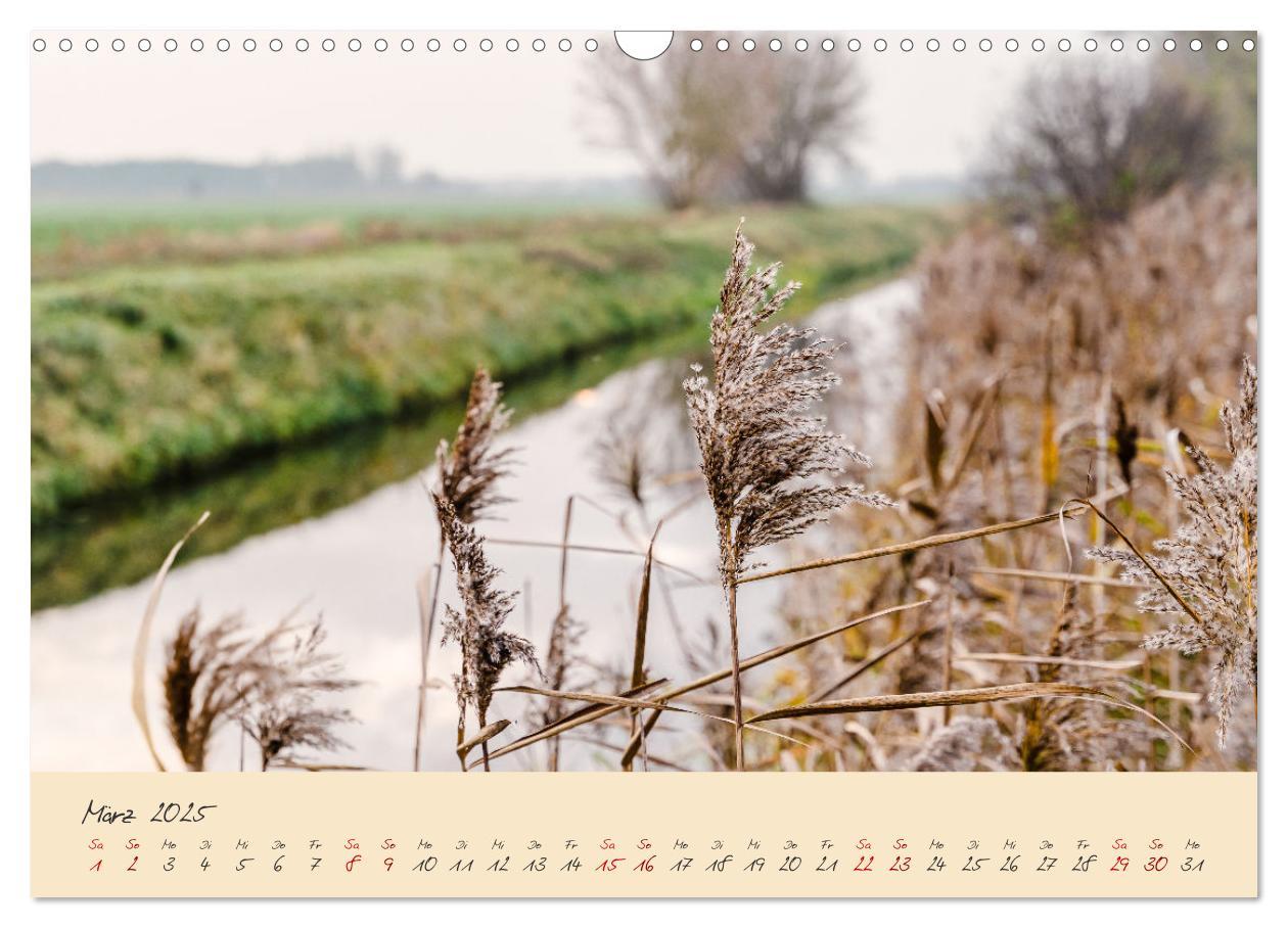 Bild: 9783383982484 | Friedländer Große Wiese (Wandkalender 2025 DIN A3 quer), CALVENDO...