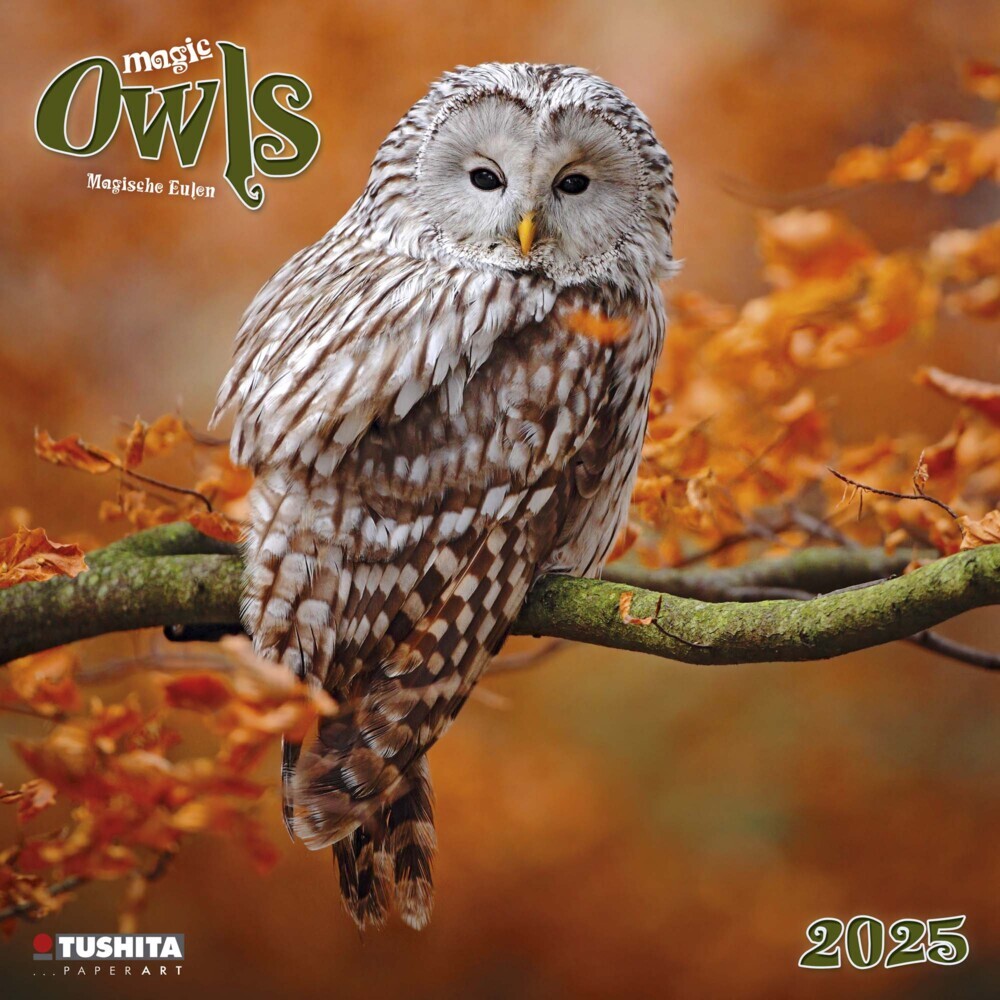 Cover: 9783959293990 | Magic Owls 2025 | Kalender 2025 | Kalender | Drahtheftung | 28 S.