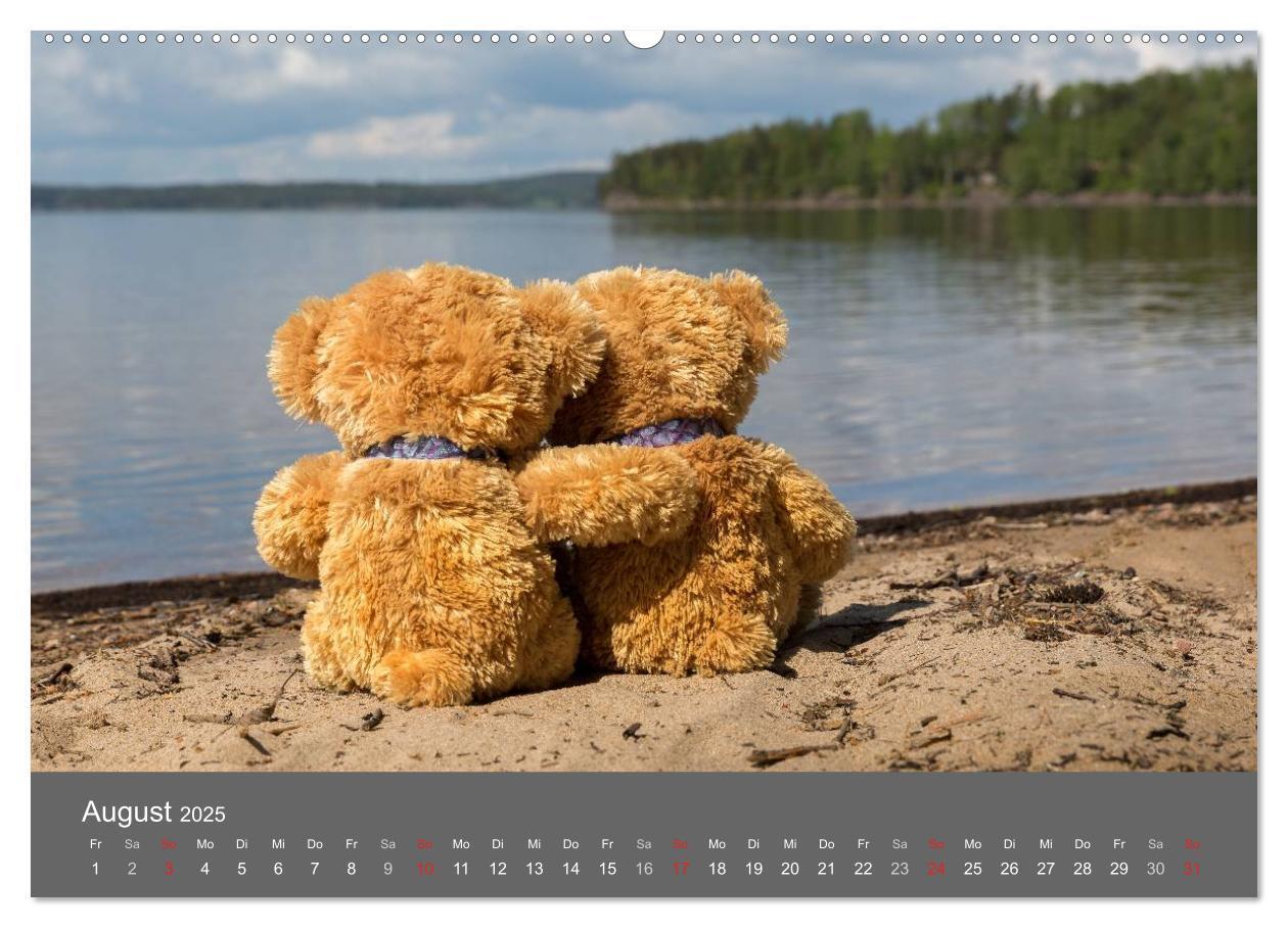 Bild: 9783435490356 | Travelling Teddy 2025 (hochwertiger Premium Wandkalender 2025 DIN...