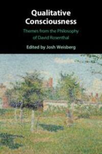 Cover: 9781108738132 | Qualitative Consciousness | Josh Weisberg | Taschenbuch | Englisch