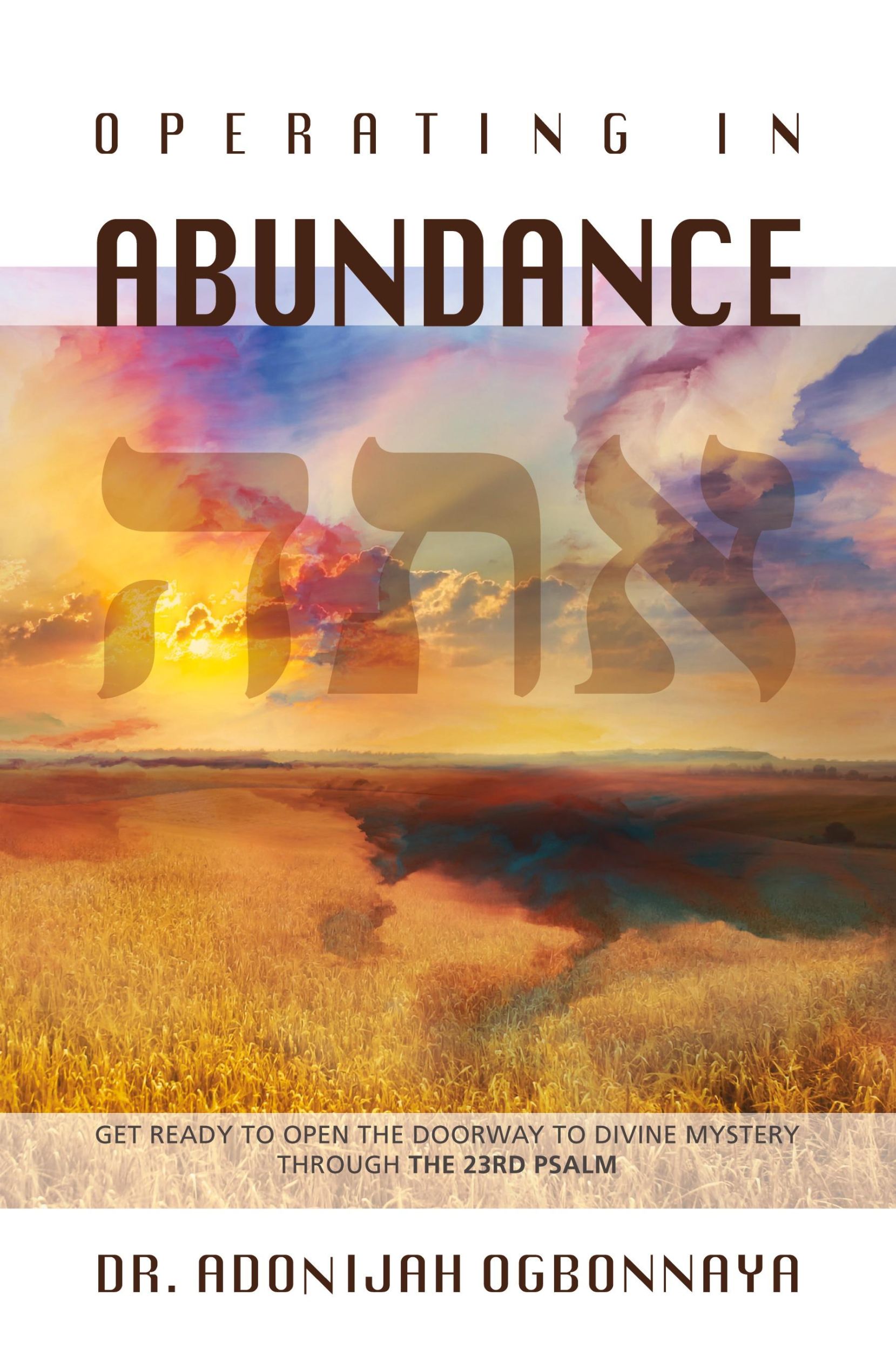 Cover: 9781922428042 | Operating in Abundance | Adonijah Ogbonnaya | Taschenbuch | Englisch