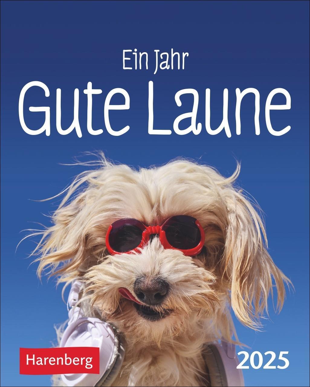 Cover: 9783840034497 | Ein Jahr gute Laune Mini-Geschenkkalender 2025 | Beatrix Braukmüller