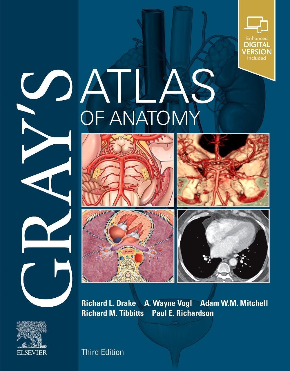 Cover: 9780323636391 | Gray's Atlas of Anatomy | Richard Drake (u. a.) | Taschenbuch | 2020